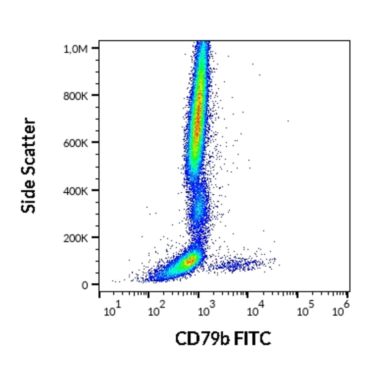 Flow Cytometry - Anti-CD79b Antibody [CB3-1] (FITC) (A86455)