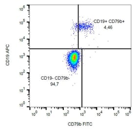 Flow Cytometry - Anti-CD79b Antibody [CB3-1] (FITC) (A86454) - Antibodies.com