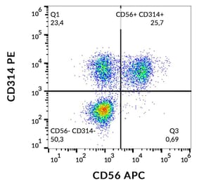 Flow Cytometry - Anti-NKG2D Antibody [1D11] (PE) (A86456)
