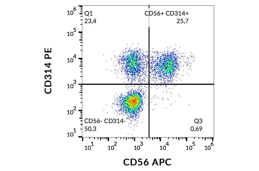 Flow Cytometry - Anti-NKG2D Antibody [1D11] (PE) (A86456)