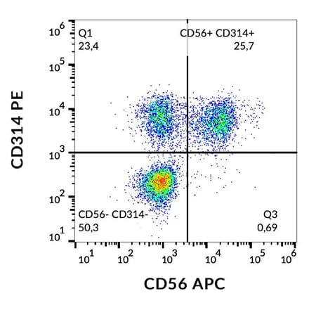 Flow Cytometry - Anti-NKG2D Antibody [1D11] (PE) (A86456)