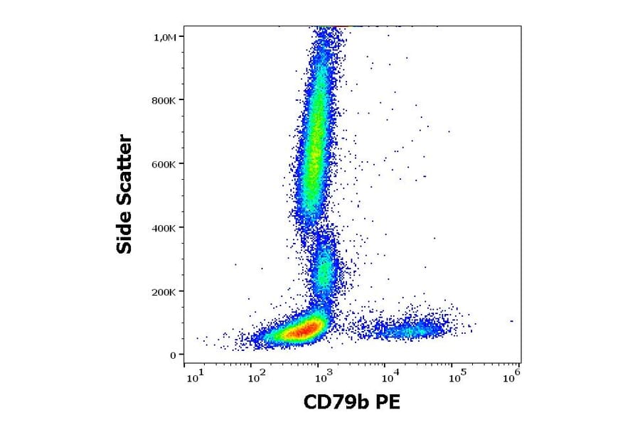 Flow Cytometry - Anti-CD79b Antibody [CB3-1] (PE) (A86457)