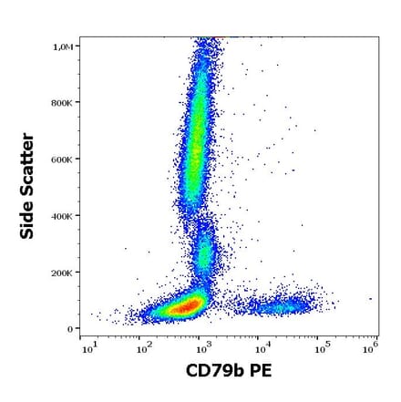 Flow Cytometry - Anti-CD79b Antibody [CB3-1] (PE) (A86457)