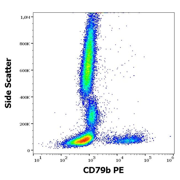 Flow Cytometry - Anti-CD79b Antibody [CB3-1] (PE) (A86457)