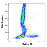 Flow Cytometry - Anti-CD79b Antibody [CB3-1] (PE) (A86457)