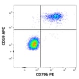 Flow Cytometry - Anti-CD79b Antibody [CB3-1] (PE) (A86457)
