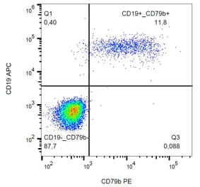 Flow Cytometry - Anti-CD79b Antibody [CB3-1] (PE) (A86455) - Antibodies.com