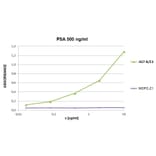 ELISA - Anti-Prostate Specific Antigen Antibody [A67-B/E3] (Biotin) (A86467)