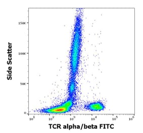 Flow Cytometry - Anti-TCR alpha + TCR beta Antibody [IP26] (FITC) (A86470)