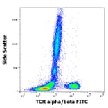 Flow Cytometry - Anti-TCR alpha + TCR beta Antibody [IP26] (FITC) (A86470)