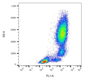 Flow Cytometry - Anti-CD11b Antibody [ICRF44] (FITC) (A86465) - Antibodies.com