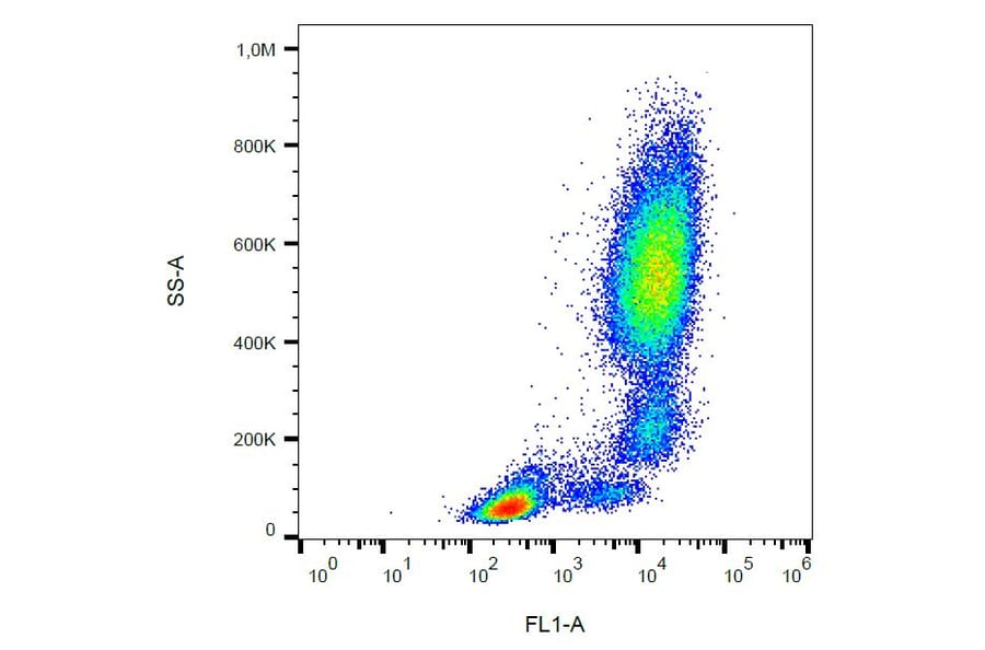 Flow Cytometry - Anti-CD11b Antibody [ICRF44] (FITC) (A86465) - Antibodies.com
