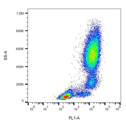 Flow Cytometry - Anti-CD11b Antibody [ICRF44] (FITC) (A86465) - Antibodies.com
