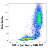 Flow Cytometry - Anti-CD11b Antibody [ICRF44] (A86479)