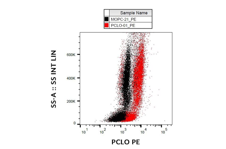 Flow Cytometry - Anti-Piccolo Antibody [PCLO-01] (PE) (A86486)