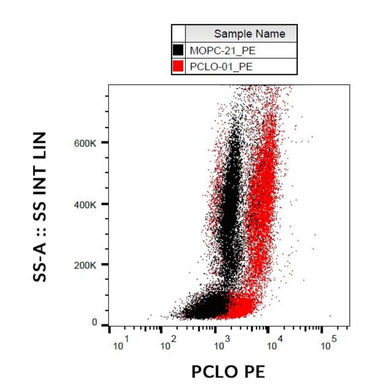 Flow Cytometry - Anti-Piccolo Antibody [PCLO-01] (PE) (A86486)