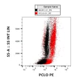 Flow Cytometry - Anti-Piccolo Antibody [PCLO-01] (PE) (A86486)