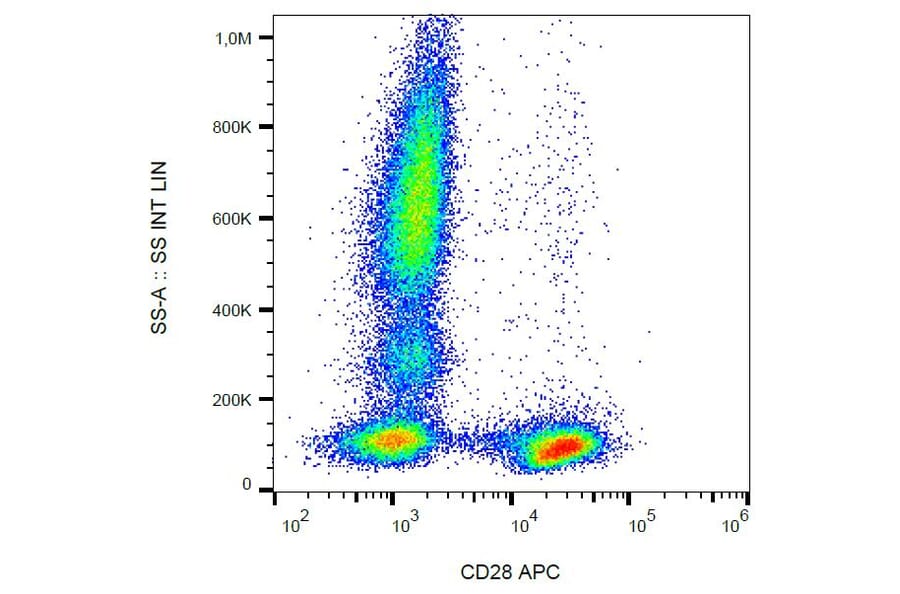 Flow Cytometry - Anti-CD28 Antibody [CD28.2] (APC) (A86487) - Antibodies.com
