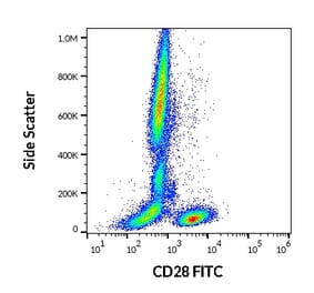 Flow Cytometry - Anti-CD28 Antibody [CD28.2] (FITC) (A86489)