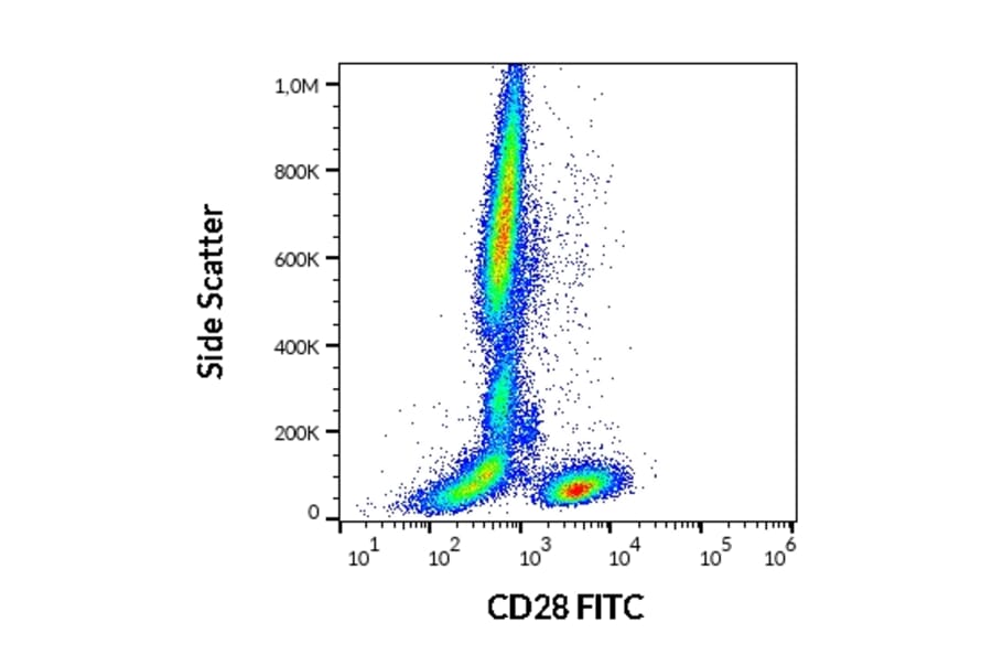 Flow Cytometry - Anti-CD28 Antibody [CD28.2] (FITC) (A86489)