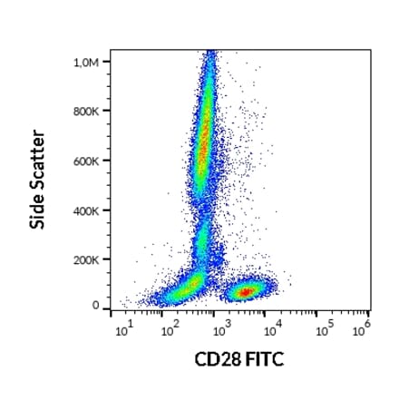 Flow Cytometry - Anti-CD28 Antibody [CD28.2] (FITC) (A86489)
