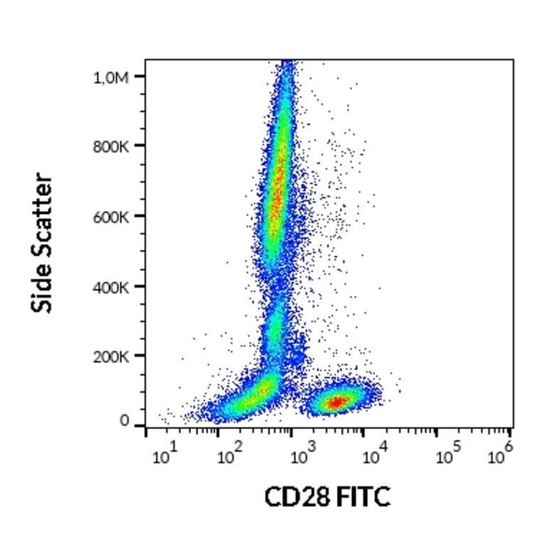 Flow Cytometry - Anti-CD28 Antibody [CD28.2] (FITC) (A86489)