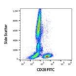 Flow Cytometry - Anti-CD28 Antibody [CD28.2] (FITC) (A86489)