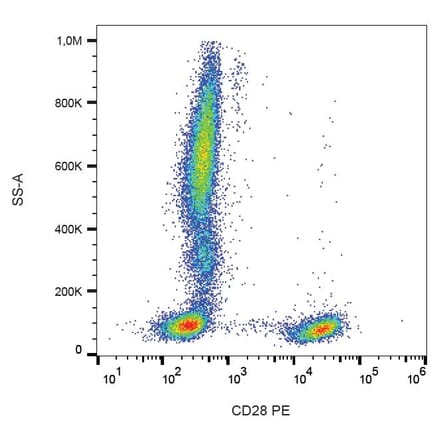 Flow Cytometry - Anti-CD28 Antibody [CD28.2] (PE) (A86490)