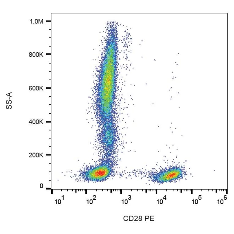 Flow Cytometry - Anti-CD28 Antibody [CD28.2] (PE) (A86490)