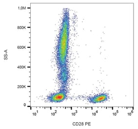 Flow Cytometry - Anti-CD28 Antibody [CD28.2] (PE) (A86489) - Antibodies.com