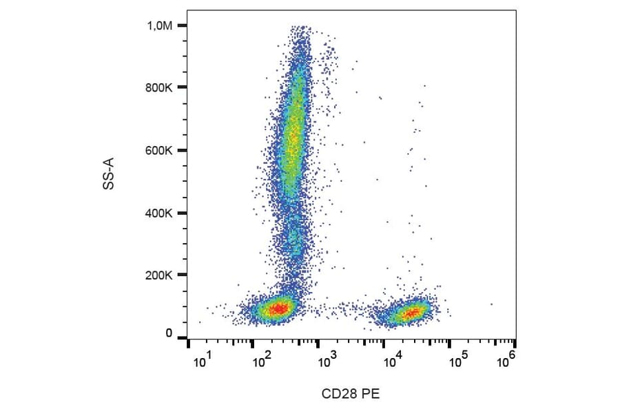 Flow Cytometry - Anti-CD28 Antibody [CD28.2] (PE) (A86489) - Antibodies.com