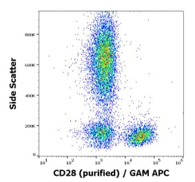 Flow Cytometry - Anti-CD28 Antibody [CD28.2] (A86493)