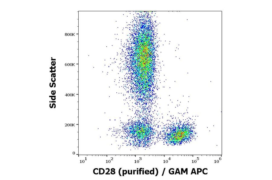 Flow Cytometry - Anti-CD28 Antibody [CD28.2] (A86493)