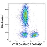 Flow Cytometry - Anti-CD28 Antibody [CD28.2] (A86493)