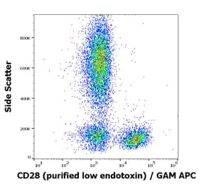 Flow Cytometry - Anti-CD28 Antibody [CD28.2] - Low endotoxin, Azide free (A86496)