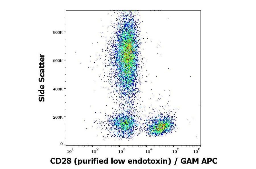 Flow Cytometry - Anti-CD28 Antibody [CD28.2] - Low endotoxin, Azide free (A86496)