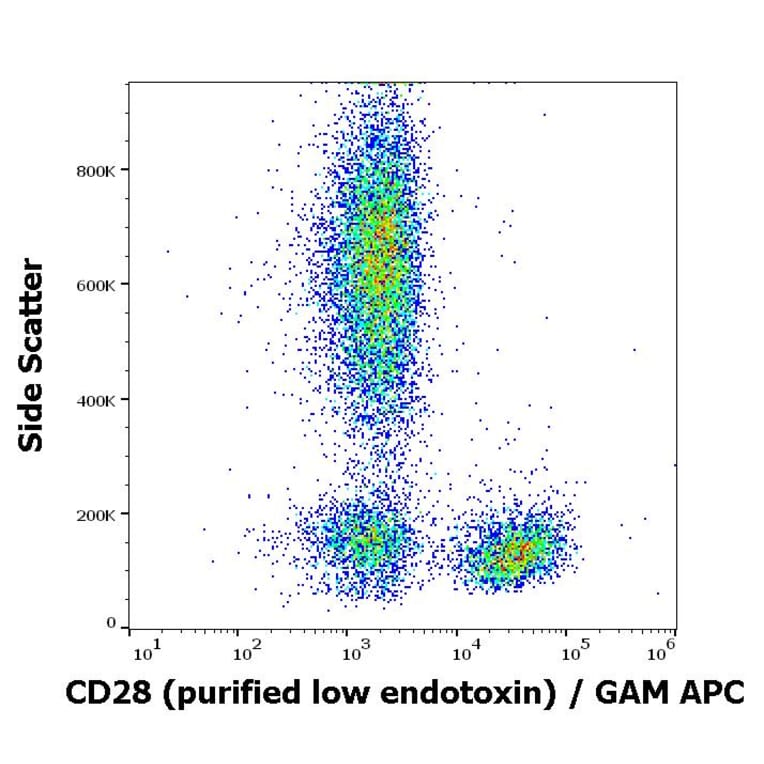 Flow Cytometry - Anti-CD28 Antibody [CD28.2] - Low endotoxin, Azide free (A86496)