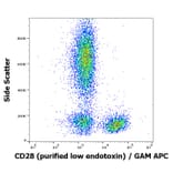 Flow Cytometry - Anti-CD28 Antibody [CD28.2] - Low endotoxin, Azide free (A86496)
