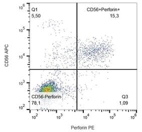 Flow Cytometry - Anti-Perforin Antibody [dG9] (PE) (A86499)