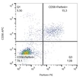 Flow Cytometry - Anti-Perforin Antibody [dG9] (PE) (A86498) - Antibodies.com