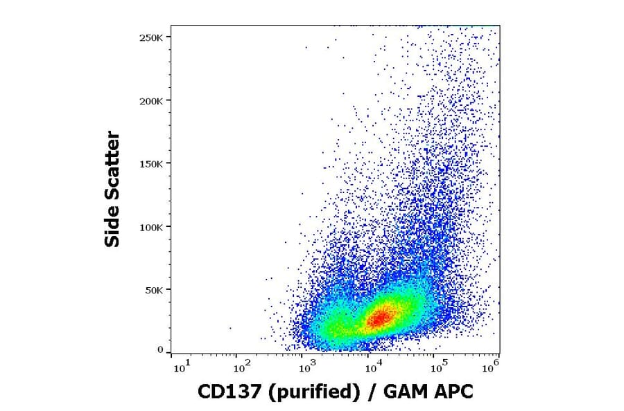 Flow Cytometry - Anti-CD137 Antibody [4B4-1] (A86513)