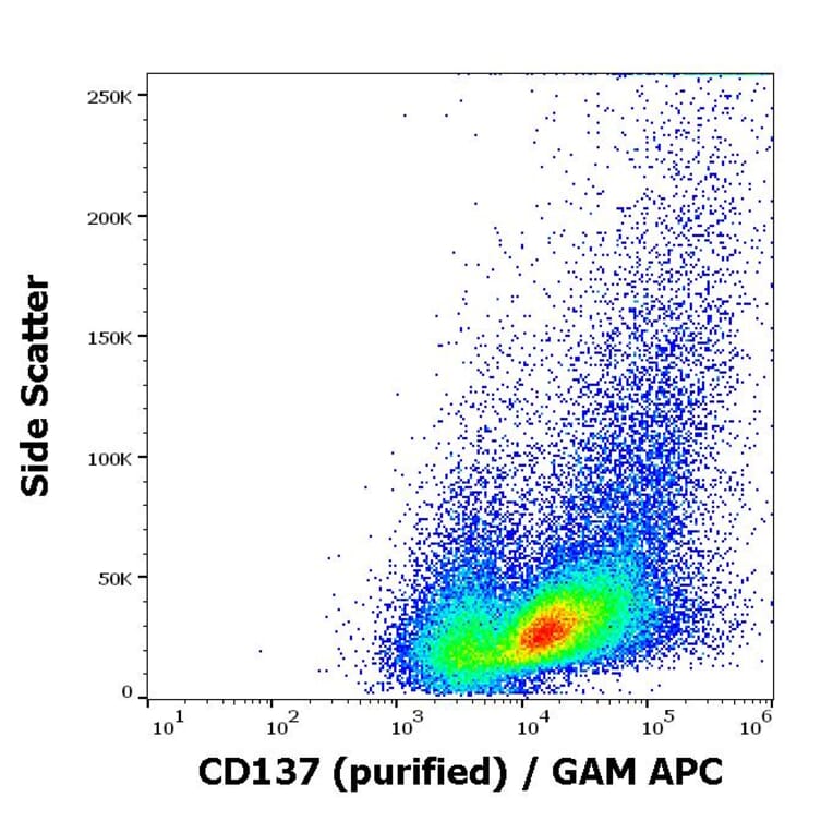 Flow Cytometry - Anti-CD137 Antibody [4B4-1] (A86513)
