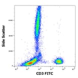 Flow Cytometry - Anti-CD3 Antibody [UCHT1] (FITC) (A86519)