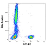 Flow Cytometry - Anti-CD3 Antibody [UCHT1] (PE) (A86520)