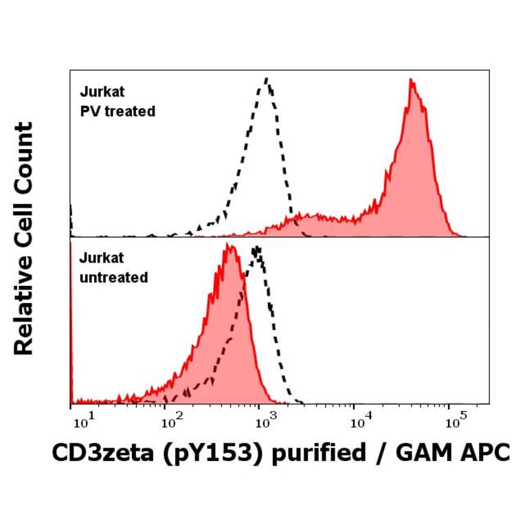 WB - Anti-CD3 zeta (phospho Y153) Antibody [EM-17] (A86524)