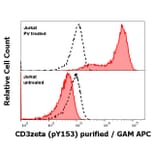 WB - Anti-CD3 zeta (phospho Y153) Antibody [EM-17] (A86524)