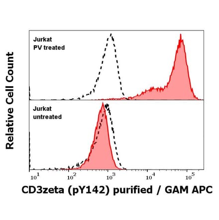WB - Anti-CD3 zeta (phospho Y142) Antibody [EM-54] (A86525)