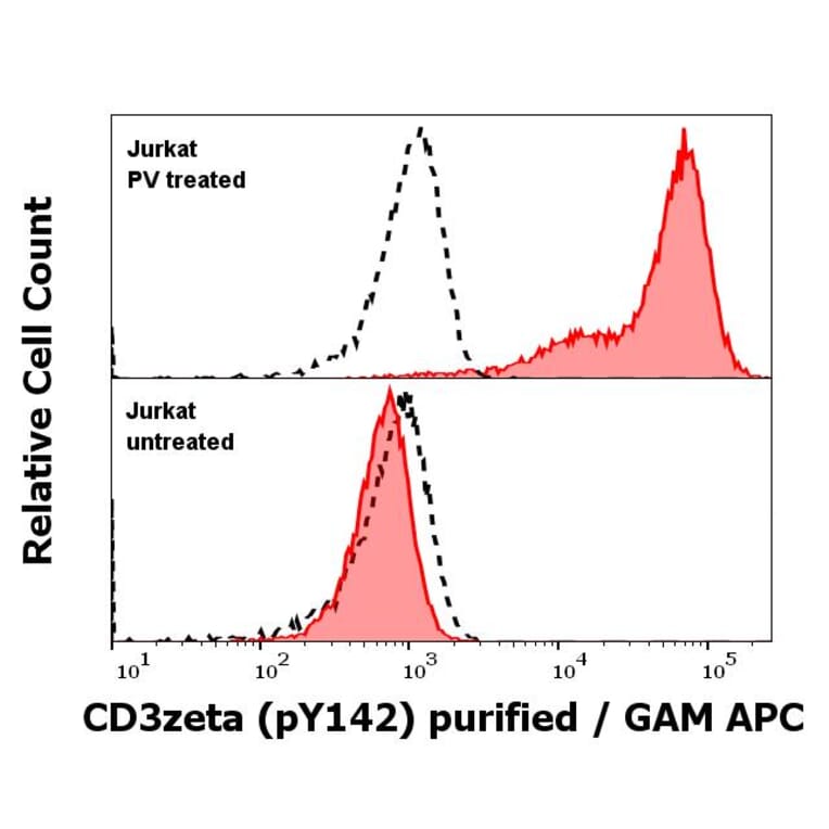WB - Anti-CD3 zeta (phospho Y142) Antibody [EM-54] (A86525)