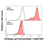WB - Anti-CD3 zeta (phospho Y142) Antibody [EM-54] (A86525)