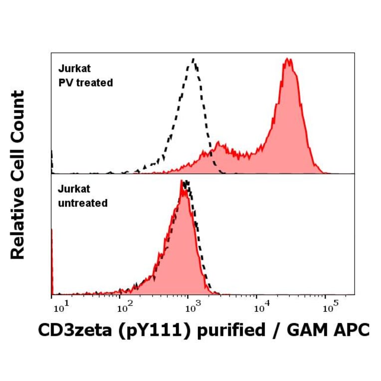 WB - Anti-CD3 zeta (phospho Y111) Antibody [EM-55] (A86526)